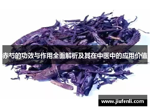 赤芍的功效与作用全面解析及其在中医中的应用价值